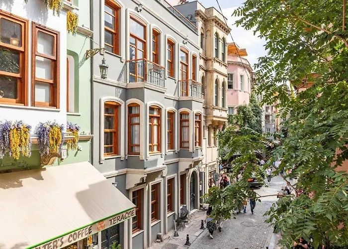 Stunning Bright Modern 1bd Balat Gem! #328 Istanbulská provincie