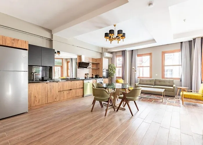 Stunning Bright Modern 1bd Balat Gem! #328 アパート *